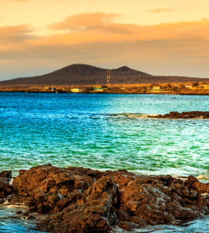 The Galapagos image