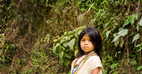 Colombia Cultural Immersion: From Conflict to Colour image