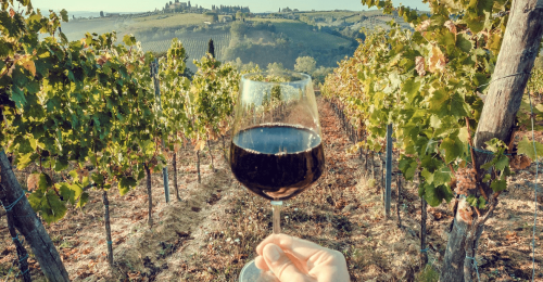 Tuscan 4 Night Cooking Experience with Wine Tour image
