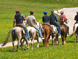 Top 5 Horse Riding Holiday Destinations in Europe image