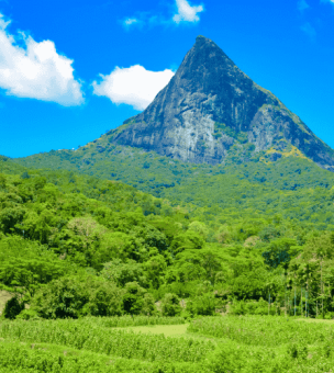Want to Get Off-the-Beaten-Track in Sri Lanka? image