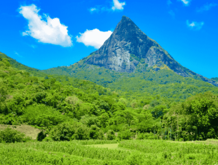 Want to Get Off-the-Beaten-Track in Sri Lanka? image