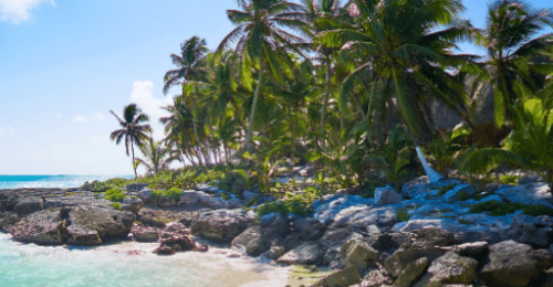 Private Off the Beaten Track in Yucatán image