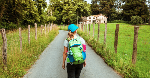 A Taste of the Camino de Santiago image