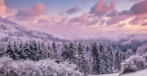 Lapland Bucket List: Romantic Arctic Glass Suite Escape image