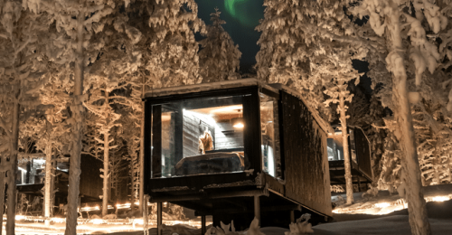 Chasing the Magical Northern Lights image