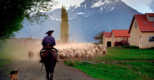 Argentina Uncovered: Tango, Vineyards & Glaciers with a Ranch Stay in Patagonia image