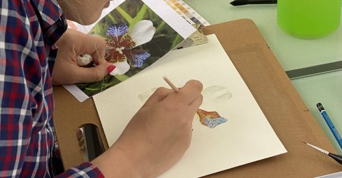 4 Night Botanical Painting and Yoga Holiday image