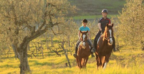 Tuscan Horse Trek (Experienced Riders) image