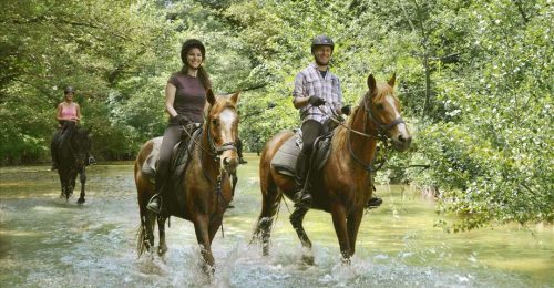 Tuscan Horse Riding Holiday (Beginners) image
