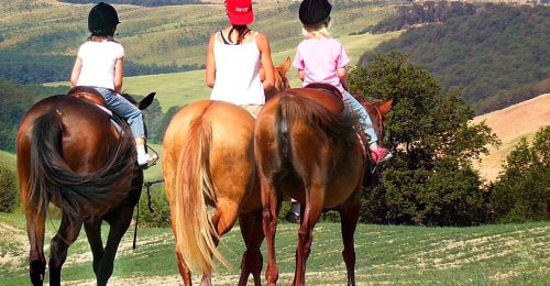 Tuscan Horse Riding Break (Beginners) image