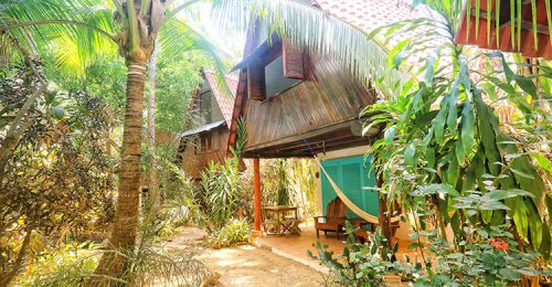Yoga Holiday in Montezuma image