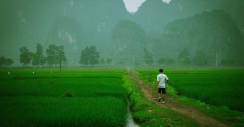 Rural Hanoi and Mai Chau Village image