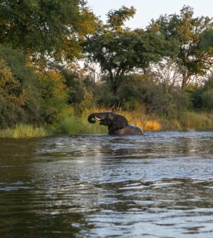 Zambezi National Park image