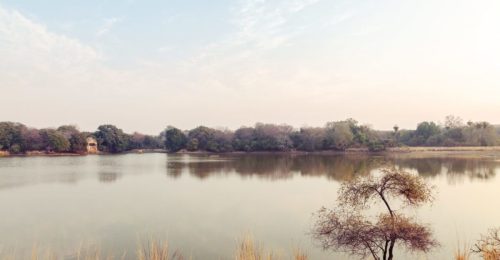 Rural Ramble – Jaipur Rural Cycling Tour image