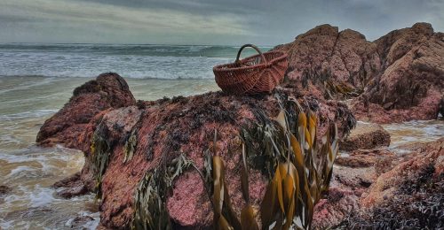A Foraging and Dining Experience image