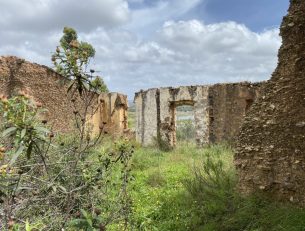 Meet Cheryl – our host in the Algarve image