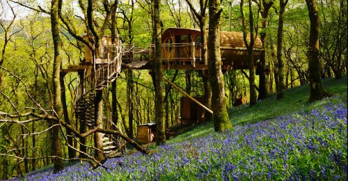 Amazing Treehouse Experience image