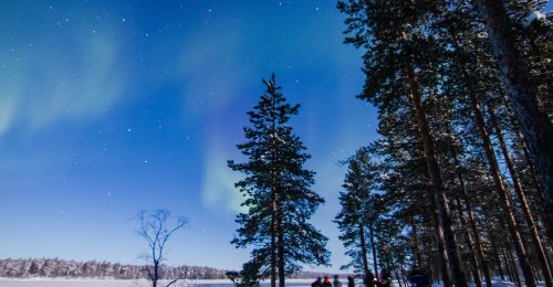 4 Night Easter Family Adventure in Saariselka image