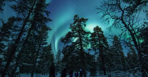 Northern Lights Photography Workshop image