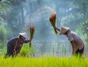 Our Top 7 Eco-Friendly Destinations for 2022 image