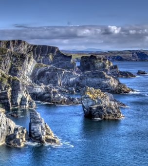 Cork image