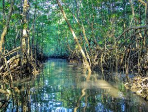 Back to Nature in Costa Rica image