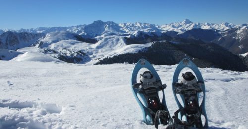 Snowshoeing Foodie Adventure in the Pyrenees image