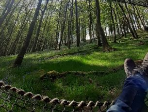 Meet Mark – our treehouse host in Wales image