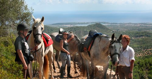 Horse Riding Holiday for Beginners Mallorca image