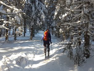 7 Top Winter Travel Experiences image