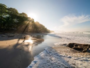 What is Ecotourism and Why is it So Important? image