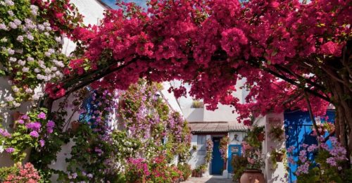 Spring Tour in Andalusia image