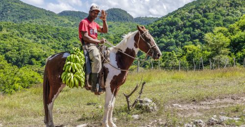 Cuba Insight image